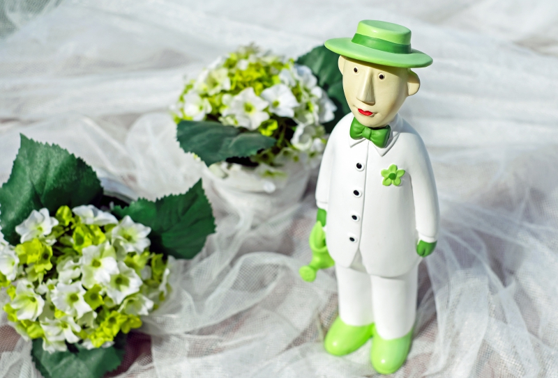 vitrine-LE BROC-min_man-person-flower-green-toy-fig-546529-pxhere.com